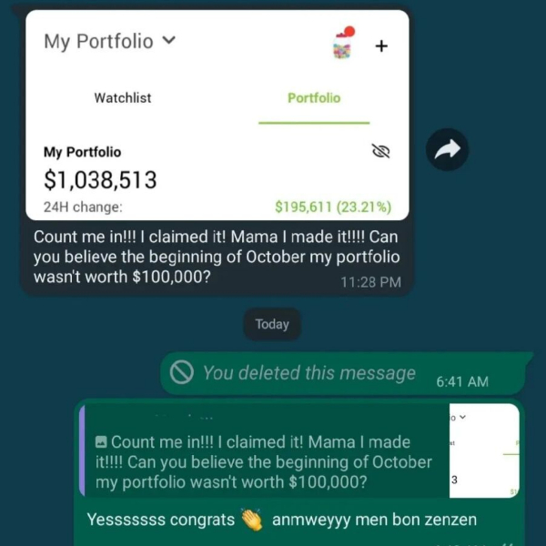 Boulpik Profits